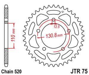 JT Hinteres Ritzel Stahl [45 Zähne] BMW S 1000 RR 09-20