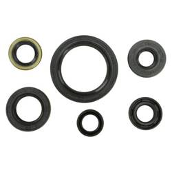 WINDEROSA Motordichtungssatz KAWASAKI KLX250R 94-96, KLX250S 06-18, KLX250SF 09-10, KLX300(R) 97-07