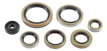 WINDEROSA Motordichtungssatz KTM SX 250 17-19, XC 250 17-18, XC 300 17-18, XC-W 250 17-18, HUSQVARNA TC 250 17-19