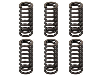 Kupplungsfedern KTM EXC 250 RACING 02-05 / EXC-F 250 03-04 / EXC 400 01-07 / SX/MXC 00-02 / EXC/MXC/SMR/SX 450/525 03-05 / SMR 560 06 / PSYCHIC