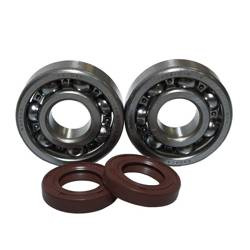 Bearing Worx Kurbelwellenlager Kit KTM SX 65 98-08