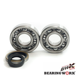 Bearing Worx Kurbelwellenlager Kit mit Dichtungsmitteln Suzuki RM 250 96-02