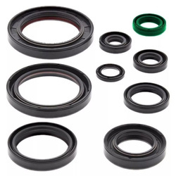 BEARING WORX Satz Motordichtungen Honda CRF 450R 09-16