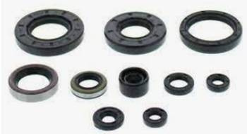 Motor-Dichtungssatz POLARIS HAWKEYE 2X4 06-11, HAWKEYE 4X4 06-07, SPORTSMAN 300 4X4 08-10 Winderosa