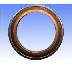 Dichtung Auspuffkrümmer YAMAHA TDR 250 88 /  ATHENA