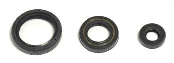 Satz Motordichtungen HUSQVARNA TE/TC 250 10-14 / TE/TXC 310 11-14 ATHENA