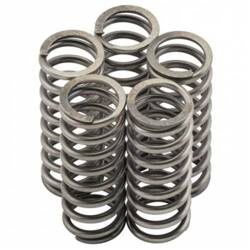 Kupplungsfedern Honda CR 250/CRF450 02-03 /TRX450/NTV/TRX 700 / Suzuki RM Newfren