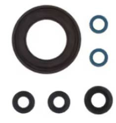 Satz Motordichtungen YAMAHA TDM900 02-10 ATHENA