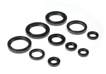 BEARING WORX Satz Motordichtungen Honda TRX 450R 04-05