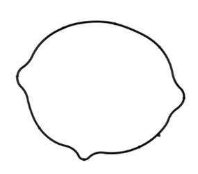 Prox Dichtung des Kupplungsdeckels Suzuki DR-Z 400 01-23 / Kawasaki KLX 400R 03 /