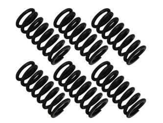 Kupplungsfedern KTM EGS 250 94-99 / EXC 250 94-05 / MXC 250 98-99 / SX 250 94-12 / SXS 250 01-03 / XC/XC-W 250 06-12 / EGS 300 94-99 / EXC 300 94-05 / MXC 94-05 / XC 300 06-14 / XC-W 300 06-11 / EGS/EXC/MXC 360 96-97 / EGS/ PSYCHIC