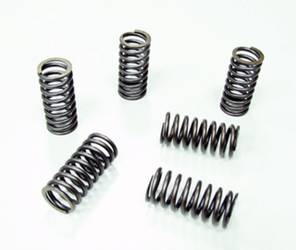 Kupplungsfedern Honda CRF 230F 03-16 / CR 480R 82 PSYCHIC