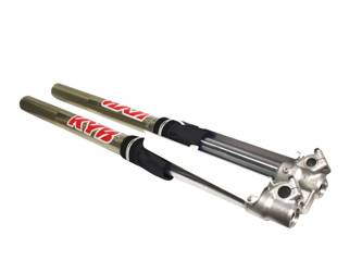 Blackbird Socken für die Lags