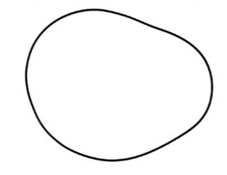 Prox Dichtung des Kupplungsdeckels Honda CRF 450R/X 02-17 / Honda TRX 450R 04-09