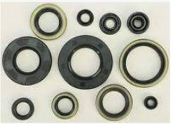 Motor-Dichtungssatz KTM SX 450 ATV 09-10, SX 505 ATV 09-10 Winderosa