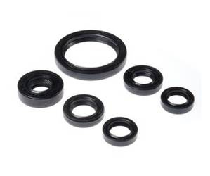 BEARING WORX Satz Motordichtungen Yamaha YFZ 450 04-13