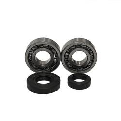 Bearing Worx Kurbelwellenlager Kit KTM SX 50 02-08