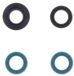 Satz Motordichtungen YAMAHA TDM850 91-01 ATHENA