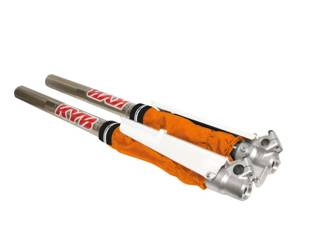 Blackbird Socken für die Lags