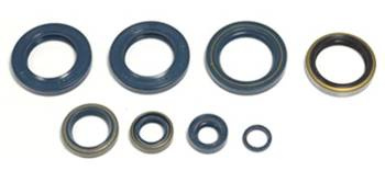 Satz Motordichtungen KAWASAKI KLX 250 93-98 ATHENA