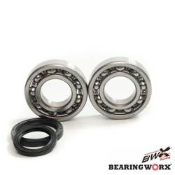 Bearing Worx Kurbelwellenlager Kit mit Dichtungsmitteln Beta 4T 350/400/450/498