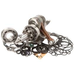 Hot Rods Motor-Bergungsset YAMAHA GRIZZLY 700 07-13 / RHINO 700 08-13